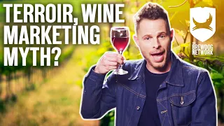 How does terroir affect the taste of wine? | Drinktionary | BrewDog