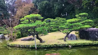 Ohori Park  ~ The Japanese Garden