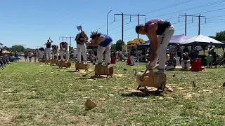 375mm underhand championship at Canberra royal show #lumberjacks #woodchopping #timbersports