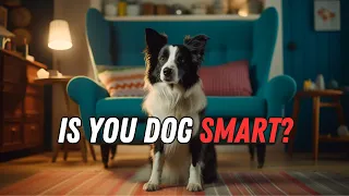 5 Signs Your Dog is Smarter Than You Think