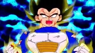 Vegeta - No! No More! That's It! I Don't Care!