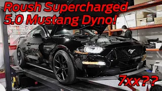 Roush Supercharged 5.0 Mustang Hits the DYNO! How Much Power Does it Make?