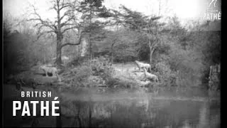 In Those Good Old Days - Filmed At Crystal Palace (1922)