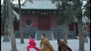 Shaolin Temple China -Shifu Kanishka