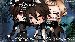 ⛓Mr.Alpha Kidnapped by the Vampires⛓|⚠️Read warnings in desc.|kidnapped involved✨Glmm✨|Bl|Poly|(1/3)