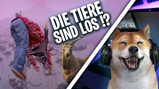 DIE TIERE SIND LOS!? 🦌 - CSYON Stream Highlights