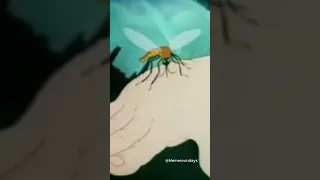 Mosquito Screams!