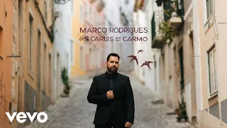 Marco Rodrigues - Estrela da Tarde