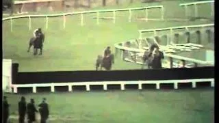 Ten Up- The 1975 Cheltenham Gold Cup