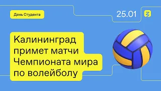 Калининград примет матчи Чемпионата мира по волейболу