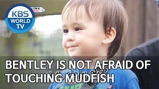Bentley is not afraid of touching mudfish [The Return of Superman/2019.10.20]