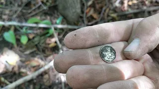 Metal detecting/Equinox 800