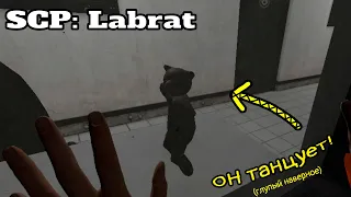 В ЭТО лучше НЕ играть! VR (Я ПЛАЧУ) | SCP: Labrat