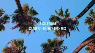 La Colegiala - Rodolfo Aicardi (Suarezz Tech House Groove Mix)