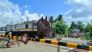 Dangerous Angry MAD Horse Headed Rajdhani Express Furious Aggressive Moving Throughout Railgate