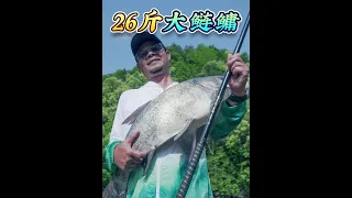 It's outrageous! Lao Cao actually used it to catch 26kg of big silver carp and bighead! How should