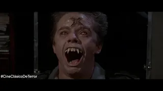 Evil Ed es un vampiro | "Fright Night" (1985)