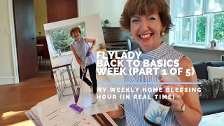 Back to Basics - My Flylady Weekly Home Blessing Hour (in real time)!