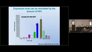 Developing Non-viral/Nanoparticle Gene Delivery for Retinal Degeneration - Muna Naash