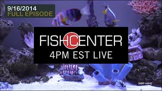 Fishcenter - The First Episode (September 16, 2014)