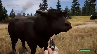 Far Cry 5 - Prairie Oyster Harvest - Gather the 3 Types of Bull Testicles