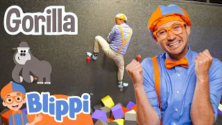 Blippi at the Trampoline Park! | Blippi - Kids Playground | Educational Videos for Kids
