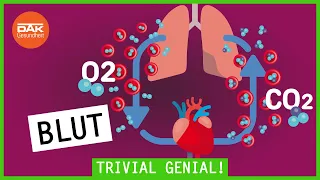 Unser Blut – was du darüber wissen solltest | Trivial Genial | DAK-Gesundheit