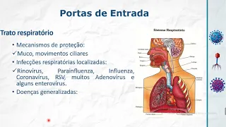 Virologia - Interação Vírus Hospedeiro - Aula 4 Parte 1