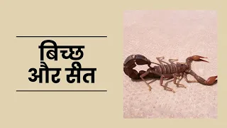 Moral Stories 16: बिच्छू और संत | Short stories for kids in hindi | Motivational | Biccho ki Kahani