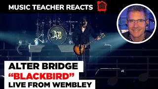 🎉 🥂 Music Teacher REACTS TO Alter Bridge "Blackbird" | Music Teacher | Music Shed #100 🥂  🎉