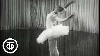 Лебедь. Танцует Майя Плисецкая. Swan. Maya Plisetskaya (1964)