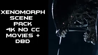 Xenomorph Scene Pack for Edits | 4K no CC