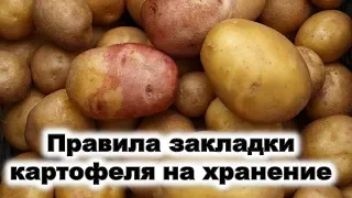 Rules for laying potatoes for storage At what temperature should you put potatoes for storage?