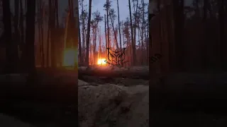 Shocking footage: Russian RPO-A 'Bumblebee' Thermobaric Flamethrower in action in Keremina Forests