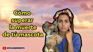 COMO SUPERAS LA MUERTE DE TÚ MASCOTA -Tips by Natalia Ospina