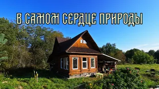 Одинокий домик в самом сердце природы||Как устроен наш быт #1