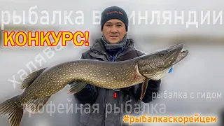 Конкурс!!! Рыбалка с Корейцем. Трофейная рыбалка с Panoptix LiveScope.