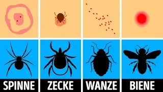 Wie man einen Insektenbiss identifiziert und richtig behandelt