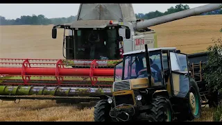 Koszenie pszenżyta 2021 w AgroMyśl☆Claas się pali?!☆Claas Lexion 580☆Case Axial Flow 2188☆JD☆Ursus☆