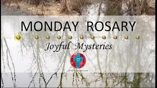 Monday Rosary • Joyful Mysteries of the Rosary 💙 February 12, 2024 VIRTUAL ROSARY - MEDITATION