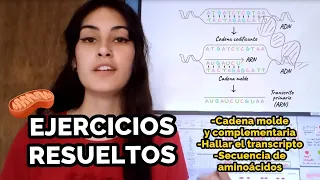 Ejercicios resueltos de transcripción y traducción de ADN/ARN - Explicado paso a paso