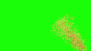 Confetti green screen | Luxury gold confetti party popper on Green screen