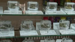 Applications open for pot licenses in Detroit