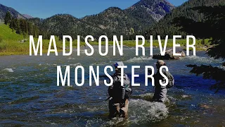 Fly Fishing the Madison River in Montana