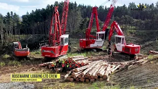 Madill 124 Swing Yarder  - Rosewarne Logging Ltd