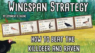 Wingspan Strategy | How to beat the Killdeer and Raven