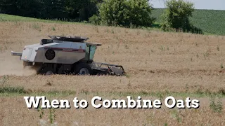 When to Combine Oats - Practical Cover Croppers