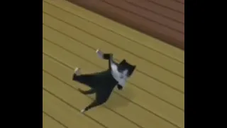 cat dancing shake meme gato bailando shake