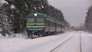 Дизель-поезд ДР1А-225-2 на перегоне Лийва-Таллин-Вяйке / DR1A-225-2 near Liiva station