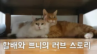 할배와 쁘니의 러브 스토리 (부제 : 눈꼴시려....=_=)